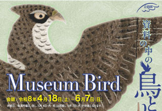 「Museum Bird 資料の中の鳥とりどり」